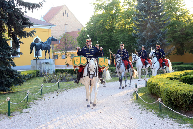Hungary’s Shagya town welcomes riders, officials on eve of Central European Endurance Cup rides